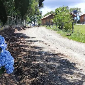 Manacá Da Serra Urubici